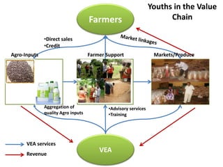 Integrating youth in agriculture | PPTX