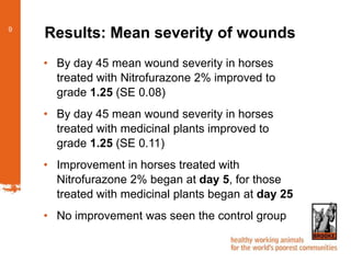 METHODS USED TO TREAT BACK AND WITHER WOUNDS IN EQUINES
