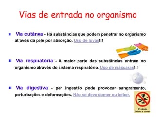 Vias de entrada no organismo
 