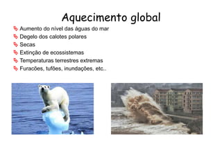 Aquecimento global
 Aumento do nível das águas do mar
 Degelo dos calotes polares
 Secas
 Extinção de ecossistemas
 Temperaturas terrestres extremas
 Furacões, tufões, inundações, etc..
 