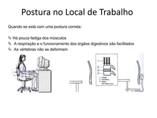 Postura no Local de Trabalho
Quando se está com uma postura correta:
 Há pouca fadiga dos músculos
 A respiração e o funcionamento dos órgãos digestivos são facilitados
 As vértebras não se deformam
 