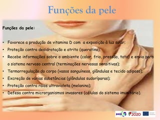 Funções da pele
Funções da pele:
• Favorece a produção de vitamina D com a exposição à luz solar;
• Proteção contra desidratação e atrito (queratina);
• Recebe informações sobre o ambiente (calor, frio, pressão, tato) e envia para
o sistema nervoso central (terminações nervosas sensitivas);
• Termorregulação do corpo (vasos sanguíneos, glândulas e tecido adiposo);
• Excreção de várias substâncias (glândulas sudoríparas);
• Proteção contra raios ultravioleta (melanina);
• Defesa contra microrganismos invasores (células do sistema imunitário).
 