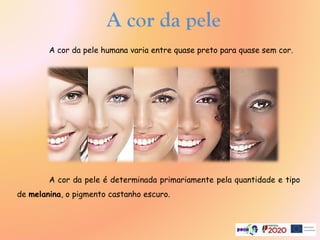 A cor da pele
A cor da pele humana varia entre quase preto para quase sem cor.
A cor da pele é determinada primariamente pela quantidade e tipo
de melanina, o pigmento castanho escuro.
 