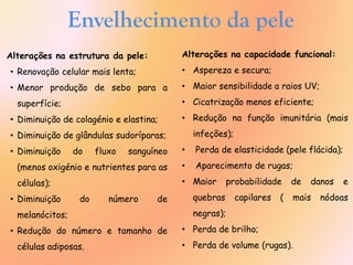 Alterações na estrutura da pele:
• Renovação celular mais lenta;
• Menor produção de sebo para a
superfície;
• Diminuição de colagénio e elastina;
• Diminuição de glândulas sudoríparas;
• Diminuição do fluxo sanguíneo
(menos oxigénio e nutrientes para as
células);
• Diminuição do número de
melanócitos;
• Redução do número e tamanho de
células adiposas.
Envelhecimento da pele
Alterações na capacidade funcional:
• Aspereza e secura;
• Maior sensibilidade a raios UV;
• Cicatrização menos eficiente;
• Redução na função imunitária (mais
infeções);
• Perda de elasticidade (pele flácida);
• Aparecimento de rugas;
• Maior probabilidade de danos e
quebras capilares ( mais nódoas
negras);
• Perda de brilho;
• Perda de volume (rugas).
 