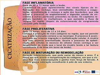 CICATRIZAÇÃO
 