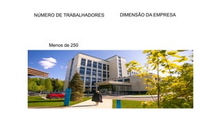 NÚMERO DE TRABALHADORES DIMENSÃO DA EMPRESA
Menos de 250
 
