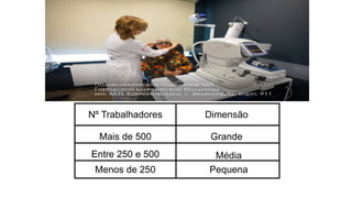 Nº Trabalhadores Dimensão
Mais de 500
Entre 250 e 500
Menos de 250
Grande
Média
Pequena
 