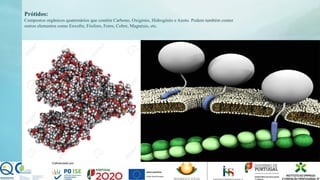 Prótidos:
Compostos orgânicos quaternários que contêm Carbono, Oxigénio, Hidrogénio e Azoto. Podem também conter
outros elementos como Enxofre, Fósforo, Ferro, Cobre, Magnésio, etc.
 