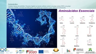 Aminoácidos:
Unidades básicas dos prótidos. Possuem, ligados ao mesmo carbono central, um grupo amina (NH2), um grupo
carboxilo (COOH), um átomo de hidrogénio e um radical que constitui a parte variável do aminoácido.
 
