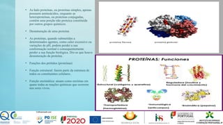 • As halo proteínas, ou proteínas simples, apenas
possuem aminoácidos, enquanto as
heteroproteínas, ou proteínas conjugadas,
contêm uma porção não proteica constituída
por outros grupos químicos.
• Desnaturação de uma proteína
• As proteínas, quando submetidas a
determinados agentes, como calor excessivo ou
variações de pH, podem perder a sua
conformação normal e consequentemente
perder a sua função biológica. Diz-se que houve
desnaturação da proteína.
• Funções dos prótidos (proteínas)
• Função estrutural: fazem parte da estrutura de
todos os constituintes celulares.
• Função enzimática: atuam como enzimas em
quase todas as reações químicas que ocorrem
nos seres vivos.
 