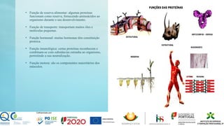 • Função de reserva alimentar: algumas proteínas
funcionam como reserva, fornecendo aminoácidos ao
organismo durante o seu desenvolvimento.
• Função de transporte: transportam muitos iões e
moléculas pequenas.
• Função hormonal: muitas hormonas têm constituição
proteica.
• Função imunológica: certas proteínas reconhecem e
combinam-se com substâncias estranha ao organismo,
permitindo a sua neutralização.
• Função motora: são os componentes maioritários dos
músculos.
 