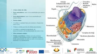 • A base celular da vida:
• Seres unicelulares: seres vivos constituídos por uma só
célula.
• Seres pluricelulares: seres vivos constituídos por
muitas células.
• Teoria celular
• •A célula é a unidade básica de estrutura e função dos
seres vivos;
• •Todas as células provêm de células preexistentes;
• •A célula é a unidade de reprodução, de
desenvolvimento e de hereditariedade dos seres vivos.
• Ultra estrutura celular:
• Células eucarióticas: Células com uma estrutura
complexa, apresentando núcleo e organitos celulares.
Estão representadas em todos os seres vivos menos as
bactérias e as cianobactérias.
•
 