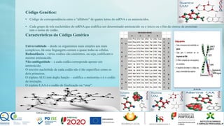 Código Genético:
• Código de correspondência entre o “alfabeto” de quatro letras do mRNA e os aminoácidos.
• Cada grupo de três nucleótidos do mRNA que codifica um determinado aminoácido ou o início ou o fim da síntese de proteínas
tem o nome de codão.
Características do Código Genético
Universalidade – desde os organismos mais simples aos mais
complexos, há uma linguagem comum a quase todas as células.
Redundância – vários codões são sinónimos, ou seja, codificam o
mesmo aminoácido.
Não-ambiguidade – a cada codão corresponde apenas um
aminoácido.
O terceiro nucleótido de cada codão não é tão específico como os
dois primeiros.
O tripleto AUG tem dupla função – codifica a metionina e é o codão
de iniciação.
O tripleto UAA é o codão de finalização ou “stop”.
 