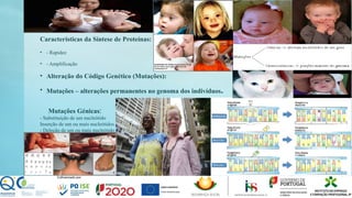 Características da Síntese de Proteínas:
• - Rapidez
• - Amplificação
• Alteração do Código Genético (Mutações):
• Mutações – alterações permanentes no genoma dos indivíduos.
Mutações Génicas:
- Substituição de um nucleótido
Inserção de um ou mais nucleótidos
- Deleção de um ou mais nucleótido
 