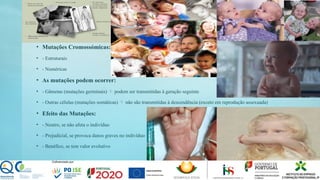 • Mutações Cromossómicas:
• - Estruturais
• - Numéricas
• As mutações podem ocorrer:
• - Gâmetas (mutações germinais) podem ser transmitidas à geração seguinte

• - Outras células (mutações somáticas) não são transmitidas à descendência (exceto em reprodução assexuada)

• Efeito das Mutações:
• - Neutro, se não afeta o indivíduo
• - Prejudicial, se provoca danos graves no indivíduo
• - Benéfico, se tem valor evolutivo
 