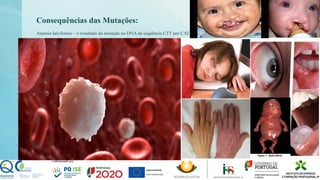 Consequências das Mutações:
Anemia falciforme – é resultado da mutação no DNA da sequência CTT por CAT.
 