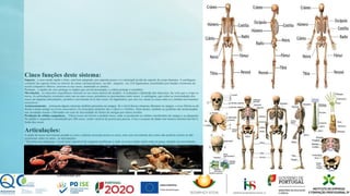 Cinco funções deste sistema:
Suporte_ o osso sendo rígido e forte, está bem adaptado, pra suportar pesos e é o principal tecido de suporte do corpo humano. A cartilagem ,
constitui um suporte firme no interior de certas estruturas(nariz, ouvido , traqueia , etc.).Os ligamentos constituídos por bandas resistentes de
tecido conjuntivo fibroso, inserem-se nos ossos, mantendo-os unidos;
Proteção_ a rigidez do osso protege os órgãos que envolve(exemplo, o crânio protege o encéfalo).
Movimento_ os músculos esqueléticos inserem-se nos ossos através de tendões. A contração e distensão dos músculos, faz com que o corpo se
mova. As articulações existentes entre um ou mais ossos, permitem os movimentos entre ossos. A cartilagem, que cobre as extremidades dos
ossos em algumas articulações, permite o movimento livre dos ossos. Os ligamentos, por sua vez, unem os ossos entre si e imitam movimentos
excessivos.
Armazenamento _ armazena alguns minerais também presentes no sangue. Se o nível desses minerais diminuir no sangue, o osso liberta-os de
forma a tentar atingir os níveis necessários. Os principais minerais são o cálcio e o fósforo. Além destes, também as gorduras são armazenadas
nas cavidades ósseas e libertadas em caso de necessidade de fontes de energia por outros tecidos.
Produção de células sanguíneas _ Vários ossos envolvem a medula óssea, onde se produzem as células constituintes do sangue e as plaquetas.
No adulto o esqueleto é constituído por 206 ossos, sendo variável de pessoa pra pessoa. Com o avançar da idade este numero diminui devido á
fusão dos ossos.
Articulações:
A razão do nosso movimento prende-se com o sistema muscular puxar os ossos, mas esse movimento dos ossos não poderia ocorrer se não
existissem, entre os ossos , as articulações.
“Tal como nas máquinas, o local mais suscetível de surgiram problemas é onde se exerce maior atrito entre as peças, durante um movimento,
também no corpo humano são estes locais a que deveríamos estar mais atentos, pois uma lesão articular dificulta em muito o nosso movimento.
Motricidade Humana.
 