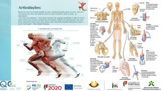 Articulações:
Razão do nosso movimento prende-se com o sistema muscular puxar os ossos, mas esse
movimento dos ossos não poderia ocorrer se não existissem, entre os ossos , as
articulações.
“Tal como nas máquinas, o local mais suscetível de surgiram problemas é onde se exerce
maior atrito entre as peças, durante um movimento, também no corpo humano são estes
locais a que deveríamos estar mais atentos, pois uma lesão articular dificulta em muito o
nosso movimento”. Motricidade Humana.
 