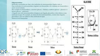 Oligossacarídeos
Moléculas constituídas por duas a dez moléculas de monossacarídeos ligados entre si.
Duas moléculas de monossacarídeos originam um dissacarídeo, três originam um trissacarídeo e
assim sucessivamente.
São exemplos de dissacarídeos, a sacarose (glicose + frutose), a maltose (glicose + glicose) e a
lactose (glicose + galactose).
A ligação entre dois monossacarídeos designa-se por ligação glicosídica e dela obtém-se uma
molécula de água. Por exemplo, na síntese de três monossacarídeos, existem duas ligações
glicosídicas e por isso obtêm-se duas moléculas de água.
Síntese de um dissacarídeo
 