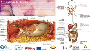 A Importância da Digestão: Uma boa alimentação é essencial para a saúde .A nutrição é um
somatório de processos através dos quais um ser vivo ingere, absorve, transporta e utiliza os nutrientes.
As células necessitam da energia que os alimentos nos dão, para desempenharem as suas funções no organismo, como por ex:
participar na respiração, na circulação de sangue , etc.
As necessidades de energia ou calorias são diferentes para cada pessoa. Os nutrientes que produzem a energia básica necessária ao
funcionamento das células são as proteínas, os glícidos e lípidos que libertam calorias.
Uma alimentação deficiente pode provocar problemas de deficiências ósseas, de peso insuficiente, assim como uma alimentação
em excesso provoca problemas como a obesidade.
A alimentação é essencial à vida humana. Faz parte do grupo das necessidades humanos básicas, e para que este gesto seja
produtivo, é essencial uma boa digestão dos alimentos digeridos, de forma a tirar todo o seu proveito energético e nutritivo. A
sobrevivência de todas as células do corpo humano depende da sua nutrição. Mas estas não se podem deslocar para procurarem
alimento, logo os alimentos têm de chegar até elas e de uma forma que elas o consigam consumir. É o aparelho digestivo, atuando
em colaboração com o circulatório que vão proporcionar esses alimentos e a sua distribuição a todas as células do nosso organismo.
10
 