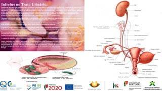 Infeções no Trato Urinário:
Sendo um sistema com uma abertura direta do organismo para o exterior, esta sujeito com frequência á exposição a
micro-organismos. Bactérias que invadem uma ou mais das suas estruturas. Devido a problemas de saúde como a
algaliação : “ são características de infeção urinária urina turva(concentrada), com cheiro forte, dores supra- públicas,
ardor ao urinar, necessidade de urinar constante, apenas conseguindo urinar “ás pinguinhas” e , em casos mais
avançados, sangue na urina (hematúria) e febre. Muitas mulheres que praticam atividade física diariamente não
sabem a importância de ter uma musculatura do assoalho pélvico (MAP) competente.
Algumas relacionam um abdômen forte a um assoalho pélvico forte também, mas na maioria das vezes o que ocorre é
o inverso, exercícios abdominais aumentam a pressão sobre a bexiga e o períneo.
A pessoa que não tem a consciência e tem uma propensão de ter uma musculatura perineal enfraquecida, quando faz
uma pressão constante sobre a bexiga pode causar uma incontinência urinária.
A perda de urina começa com gotejo e aos poucos pode evoluir, devido à sobrecarga e aumento da pressão intra-
abdominal, a fraqueza muscular do assoalho pélvico pode aumentar e provocar grandes escapes.
Para resolver a questão com sucesso, existem atendimentos especializados, como fisioterapia pélvica que propõe
tratamentos e reabilitação da bexiga com exercícios corretos para o assoalho pélvico, e para toda área que abriga os
órgãos da parte inferior do abdômen.
A região do assoalho pélvico influencia as funções urinárias, digestivas e também reprodutoras.
Saber controlar seu corpo e sua mente de forma consciente exige treinamento com conectividade já que o nosso corpo
trabalha em sinergia, quando estão equilibradas as disfunções desaparecem A retenção urinária é definida como a
incapacidade de esvaziar a bexiga completamente ou parcialmente. 1 Sofrer de retenção urinária significa que você
pode ser incapaz de iniciar a micção, ou se você é capaz de começar, você não consegue esvaziar completamente a
bexiga.
28
 