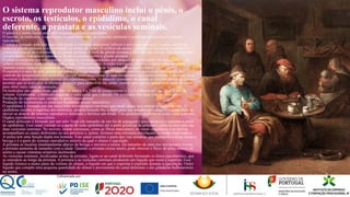 O sistema reprodutor masculino inclui o pênis, o
escroto, os testículos, o epidídimo, o canal
deferente, a próstata e as vesículas seminais.
O pênis e a uretra fazem parte dos sistemas urinário e reprodutor.
O escroto, os testículos, o epidídimo, o canal deferente, as vesículas seminais e a próstata completam o sistema
reprodutor.
O pênis é formado pela raiz (que está ligada à estrutura abdominal inferior e aos ossos pélvicos), a parte visível da
haste e a glande peniana (a extremidade em forma de cone). O orifício da uretra (o canal que transporta o sêmen e a
urina) localiza-se na extremidade da glande peniana. A base da glande peniana é denominada corona. Nos homens não
circuncidados, o prepúcio estende-se desde a corona e cobre a glande peniana.
O pênis é composto por três espaços cilíndricos (seios preenchidos por sangue) de tecido erétil. Os dois maiores, os
corpos cavernosos, estão situados lado a lado. O terceiro seio, o corpo esponjoso, envolve a maior parte da uretra.
Quando esses espaços se enchem de sangue, o pênis aumenta de tamanho e fica rígido (ereto).
O escroto é o saco de pele grossa que cerca e protege os testículos. O escroto também atua como um sistema de
controle da temperatura dos testículos, porque estes necessitam de uma temperatura levemente inferior à do corpo para
favorecer o desenvolvimento normal dos espermatozoides. O músculo cremáster da parede do escroto relaxa de forma a
permitir que os testículos se afastem do corpo para se resfriar ou, então, contrai para que se aproximem mais do corpo
para obter mais calor ou proteção.
Os testículos são corpos ovais que têm em média 4 a 7 cm de comprimento e 2 a 3 colheres de chá (20 a 25 ml) de
volume. Geralmente, o testículo esquerdo é mais caído que o direito. Os testículos têm duas funções primárias:
Produção de esperma (que carrega os genes masculinos)
Produção de testosterona (o principal hormônio sexual masculino)
O epidídimo é formado por um único tubo microscópico enrolado que mede quase seis metros de comprimento. O
epidídimo recolhe o esperma dos testículos, proporcionando-lhe o meio para que amadureça e adquira a capacidade de
mover-se através do sistema reprodutivo feminino e fertilize um óvulo. Um epidídimo encontra-se sobre cada testículo.
Órgãos reprodutores masculinos
O canal deferente é formado por um tubo firme (do tamanho de um fio de espaguete) que transporta o esperma a partir
do epidídimo. Esse canal estende-se a partir de cada epidídimo até a parte posterior da próstata e junta-se com uma das
duas vesículas seminais. No escroto, outras estruturas, como as fibras musculares, os vasos sanguíneos e os nervos,
acompanham os canais deferentes no seu percurso e, juntos, formam uma estrutura entrelaçada, o cordão espermático.
A uretra tem uma função dupla nos homens. Este canal constitui a parte das vias urinárias que transporta a urina desde a
bexiga e é a parte do sistema reprodutivo através da qual o sêmen é ejaculado.
A próstata se localiza imediatamente abaixo da bexiga e envolve a uretra. Do tamanho de uma noz nos homens jovens,
a próstata aumenta de tamanho com a idade. Quando a próstata cresce muito, pode obstruir o fluxo de urina através da
uretra e causar sintomas urinários incômodos.
As vesículas seminais, localizadas acima da próstata, ligam-se ao canal deferente formando os dutos ejaculatórios, que
se estendem ao longo da próstata. A próstata e as vesículas seminais produzem um líquido que nutre o esperma. Esse
líquido fornece a maior parte do volume de sêmen, o líquido em que o esperma é expelido durante a ejaculação. Outro
líquido que compõe uma pequena quantidade do sêmen é proveniente do canal deferente e das glândulas bulbouretrais
na uretra.
37
 