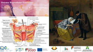 Sistema Reprodutor Feminino:
O aparelho O sistema reprodutor feminino é responsável pela produção dos hormônios progesterona e
estrógeno e também pela produção dos gametas femininos. Além disso, é nesse sistema que encontramos o
útero, órgão em que ocorre o desenvolvimento do bebê durante a gestação
. Os Órgãos Externos do Sistema Reprodutor Feminino,
também chamados de vulva, são os lábios maiores, os lábios menores e o clitóris. Lábios maiores: São
dobras de pele, ricas em tecido adiposo, que protegem e circundam o restante da vulva. Lábios menores:
Essas estruturas, que são dobras da mucosa vaginal, delimitam a abertura da vagina e da uretra. Clitóris: É
uma estrutura homóloga ao pênis. Também apresenta corpos eréteis, os quais terminam em uma glande
clitoridiana e um prepúcio. Durante a excitação sexual, esse órgão se preenche de sangue. É um dos pontos
mais sensíveis do corpo da mulher, fato explicado pela grande quantidade de terminações nervosas da
criança no parto normal.
 