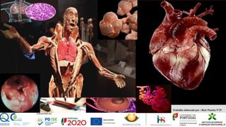 Trabalho elaborado por : Rute Pancha Nº25
 