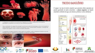 ▪ As plaquetas ou trombócitos são minúsculos fragmentos de células, compostas por uma pequena
quantidade de citoplasma envolvido por uma membrana plasmática.
▪ Estes constituintes do sangue têm um papel crucial na prevenção de hemorragias, através da formação do
rolhão plaquetário, que oclui os orifícios dos pequenos vasos, e promovendo a formação e contração dos
coágulos que ajudam a ocluir as lesões de maiores dimensões.
▪ A coagulação do sangue encontra-se numa espécie de equilíbrio, sendo as plaquetas ativadas em caso de
emergência (por Ex: quando um vaso sanguíneo se rompe por uma lesão)
 