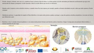 • Pressão, choques e abrasão: mais uma vez, a epiderme forma a primeira linha de defesa. As células gordas no tecido subcutâneo providenciam acolchoamento que age como
amortecedor de choques, protegendo o tecido muscular e fáscia (o tecido fibroso que envolve os músculos).
• Quando a pele é exposta a certos estímulos externos, a camada córnea fica mais espessa, por exemplo, quando se formam calosidades nos pés e mãos que estão expostos a fricção
constante.
• Substâncias químicas: A capacidade de tampão do filme hidrolítico e do manto ácido protetor, ajudam a proteger o corpo dos químicos alcalinos prejudiciais. Leia mais em fatores
que influenciam a pele.
• Bactérias e vírus: A camada córnea da epiderme e o seu manto ácido protetor formam uma barreira contra as bactérias e fungos. Se algo passa esta primeira linha de defesa, o
sistema imunitário da pele reage.
Barreira protetora
Sensação
 