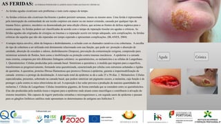 AS FERIDAS: AS FERIDAS PODEM SER CLASSIFICADAS COMO AGUDAS OU CRÓNICAS.
• As feridas agudas cicatrizam sem problemas e num curto espaço de tempo.
• As feridas crónicas não cicatrizam facilmente e podem persistir semanas, meses ou mesmo anos. Uma ferida é representada
pela interrupção da continuidade de um tecido corpóreo em maior ou em menor extensão, causada por qualquer tipo de
trauma físico, químico, mecânico ou desencadeada por uma afeção clínica, que aciona as frentes de defesa orgânica para o
contra-ataque. As feridas podem ser classificadas de acordo com o tempo de reparação tissular em agudas e crônicas. As
feridas agudas são originadas de cirurgias ou traumas e a reparação ocorre em tempo adequado, sem complicações. As feridas
crônicas são aquelas que não são reparadas em tempo esperado e apresentam complicações. (BLANES, 2004)
• A terapia tópica envolve, além da limpeza e desbridamento, a oclusão com os chamados curativos e/ou coberturas. A escolha
do tipo de cobertura a ser utilizada está diretamente relacionada com sua função, que pode ser: proteção e absorção de
umidade, absorção de exsudato e odores, desbridamento (limpeza), prevenção da contaminação exógena, compressão para
minimizar acúmulo de fluidos, bem como a imobilização ou proteção contra traumas mecânicos. A epiderme é a camada
mais externa, composta por três diferentes linhagens celulares: os queratinócitos, os melanócitos e as células de Langerhans.
1. Queratinócitos: Células produzidas pela camada basal. Sintetizam a queratina e, à medida que migram para a superfície,
transformam-se progressivamente, formando uma queratinizada, caracterizada por células com estruturas achatadas e rígidas
de queratina. A queratina, proteína fibrosa filamentosa que promove firmeza à epiderme, garante a impermeabilização da
camada externa e a protege da desidratação. A renovação total da epiderme se dá a cada 25 a 50 dias. 2. Melanócitos: Células
especializadas, presentes, sobretudo na camada basal, que podem sintetizar um pigmento escuro, a melanina, cuja função é de
proteger a pele contra os raios ultravioletas do sol. A exposição à luz solar provoca a produção de maiores quantidades de
melanina.3. Células de Langerhans: Células imunitárias gigantes, de forma estrelada que se estendem entre os queratinócitos.
Elas são produzidas pela medula óssea e migram para a epiderme onde atuam como macrófagos e contribuem à ativação do
sistema imunitário. São capazes de ingerir partículas estranhas e microrganismos e, em seguida saem da epiderme e passam
para os gânglios linfáticos satélites onde apresentam os determinantes do antígeno aos linfócitos T.
 