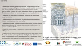 • Como a camada mais exterior que vemos e tocamos, a epiderme protege-nos das
toxinas, bactérias e perda de líquidos. Consiste em 5 camadas de células queratinócitas.
Estas células, produzidas na camada basal mais interior, migram em direção à
superfície da pele. À medida que o fazem, amadurecem e passam por várias mudanças.
É este processo, conhecido por queratinação, que torna as subcamadas distintas.
• Camada basal (ou estrato basal): A camada mais interior onde são produzidas as
células queratinócitas.
• Camada espinhosa (ou estrato espinhoso): Os queratinócitos produzem queratina
(fibras de proteína) e tornam-se em forma de fuso.
• Camada granulosa (estrato granuloso): A queratinização começa - as células produzem
grânulos duros e, à medida que empurram para cima, esses grânulos tornam-se em
queratina e epidérmicas lipídios.
• Camada clara (estrato lúcido): As células são fortemente comprimidas, achatadas e
indistinguíveis.
• Camada córnea ( ou estrato córneo): A camada mais exterior da epiderme com cerca de
20 camadas de células mortas, dependendo do sítio da pele. Estas células mortas
surgem regularmente num processo chamado descamação. A camada córnea possui
também glândulas sudoríparas e as aberturas das glândulas sebáceas.
EPIDERME:
A camada mais exterior é chamada camada córnea e é onde
as células mortas aparecem regularmente
 