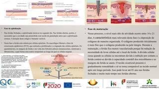 • Fase de epitelização
• Nas feridas fechadas, a epitelização inicia-se no segundo dia. Nas feridas abertas, porém, é
necessário que a cavidade seja preenchida com tecido de granulação antes que a epitelização
comece. A duração deste estágio é bastante variável.
• Nesta fase a ferida está coberta por células epiteliais. Os macrófagos liberam o fator de
crescimento epidérmico (FCE), que estimula a proliferação e a migração das células epiteliais. Os
queratinócitos, às margens da ferida e em volta dos folículos pilosos remanescentes, sintetizam a
fibronectina, a qual forma uma matriz temporária ao longo da qual as células migram.
• Fase de maturação
• Nesse processo, o nível mais alto de atividade ocorre entre 14 e 21
dias. A característica mais relevante desta fase é a deposição de
colágeno de maneira organizada. O colágeno produzido inicialmente
é mais fino que o colágeno produzido na pele íntegra. Durante a
maturação, a ferida fica menos vascularizada porque há redução da
necessidade de levar células até o local da ferida. A divisão celular
cessa quando as células se encontram devido à inibição por contato; a
ferida contrai-se devido à capacidade contrátil dos microblastos e as
margens da ferida se unem. O tecido cicatricial presente é
gradualmente remodelado e só se torna comparável ao tecido normal
após um longo período. Isso pode levar até 01 ano nas feridas
fechadas e muito mais tempo nas feridas abertas.
 