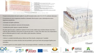 • O manto ácido protetor dá à pele saudável a seu pH levemente ácido, entre 5.4 e 5.9. É o ambiente ideal para:
• O crescimento de micro-organismos benéficos (chamados flora da pele) e para a destruição dos micro-
organismos prejudiciais.
• A formação de lípidos epidemias.
• As enzimas que conduzem o processo de descamação.
• A camada dura poder reparar-se quando danificada.
• Na maior parte do corpo, a epiderme é apenas 0.1mm no total, embora seja consideravelmente mais fina à
volta dos olhos (0.05mm) e mais grossa na sola dos pés (entre 1 a 5mm). Para saber mais, leia compreender a
pele em diferentes partes do corpo e como difere a pele masculina e feminina.
• Derme (ou corium)
• A derme é a camada intermédia grossa, elástica mas firme da pele, composta por 2 camadas:
• A camada inferior (ou estrato reticular) uma área profunda e grossa que forma uma passagem líquida com a
subcutânea.
• A camada superior (ou estrato papilar): forma uma passagem definida e ondulada com a epiderme.
 