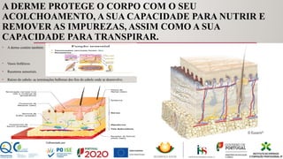 A DERME PROTEGE O CORPO COM O SEU
ACOLCHOAMENTO, A SUA CAPACIDADE PARA NUTRIR E
REMOVER AS IMPUREZAS, ASSIM COMO A SUA
CAPACIDADE PARA TRANSPIRAR.
• A derme contém também:
• Vasos linfáticos.
• Recetores sensoriais.
• Raízes do cabelo: as terminações bulbosas dos fios do cabelo onde se desenvolve.
 