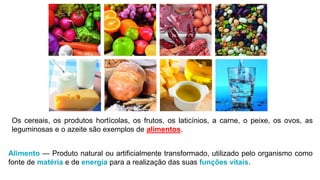 Alimento — Produto natural ou artificialmente transformado, utilizado pelo organismo como
fonte de matéria e de energia para a realização das suas funções vitais.
Os cereais, os produtos hortícolas, os frutos, os laticínios, a carne, o peixe, os ovos, as
leguminosas e o azeite são exemplos de alimentos.
 