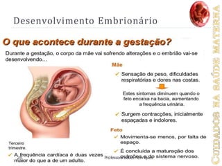 Desenvolvimento Embrionário
28 ProfessoraIsabel Henriques
 
