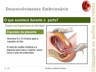 Desenvolvimento Embrionário
31 ProfessoraIsabel Henriques
 