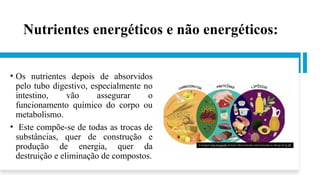 Nutrientes energéticos e não energéticos:
• Os nutrientes depois de absorvidos
pelo tubo digestivo, especialmente no
intestino, vão assegurar o
funcionamento químico do corpo ou
metabolismo.
• Este compõe-se de todas as trocas de
substâncias, quer de construção e
produção de energia, quer da
destruição e eliminação de compostos.
A imagem Esta Fotografia de Autor Desconhecido está licenciada ao abrigo da CC BY
 