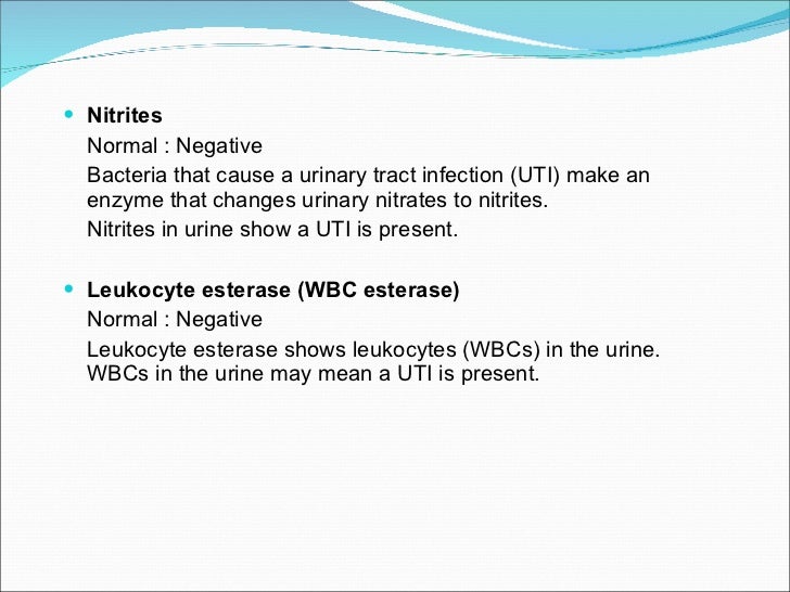 Nitrates In Urine PPT Abnormal Composition Of Urine PowerPoint Nitrates In Urine PPT Abnormal Composition Of Urine PowerPoint