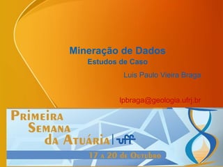 Mineração de Dados
Estudos de Caso
Luis Paulo Vieira Braga
lpbraga@geologia.ufrj.br
 