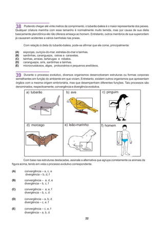 38 Podendo chegar até vinte metros de comprimento, o tubarão-baleia é o maior representante dos peixes.
  Qualquer criatura marinha com esse tamanho é normalmente muito temida, mas por causa de sua dieta
  basicamente planctônica ele não oferece ameaça ao homem. Entretanto, outros membros de sua superordem
  já causaram acidentes a vários banhistas nas praias.

           Com relação à dieta do tubarão-baleia, pode-se afirmar que ele come, principalmente:

  (A)      esponjas, ouriços-do-mar, estrelas-do-mar e tainhas.
  (B)      sardinhas, caranguejos, ostras e caravelas.
  (C)      tainhas, arraias, tartarugas e robalos.
  (D)      caranguejos, siris, sardinhas e tainhas.
  (E)      microcrustáceos, algas, protozoários e pequenos anelídeos.


      39    Durante o processo evolutivo, diversos organismos desenvolveram estruturas ou formas corporais
      semelhantes em função do ambiente em que viviam. Entretanto, existem outros organismos que apresentam
      órgãos com a mesma origem embrionária, mas que desempenham diferentes funções. Tais processos são
      denominados, respectivamente, convergência e divergência evolutiva.

             a) tubarão                     b) ave                       c) pinguim




              d) morcego                   e) leão-marinho              f) homem




          Com base nas estruturas destacadas, assinale a alternativa que agrupa corretamente os animais da
figura acima, tendo em vista o processo evolutivo correspondente.

(A)         convergência – a, c, e
            divergência – b, d, f

(B)         convergência – a, d, e
            divergência – b, c, f

(C)         convergência – a, e, f
            divergência – b, c, d

(D)         convergência – a, b, d
            divergência – c, e, f

(E)         convergência – c, e, f
            divergência – a, b, d

                                                            22
 