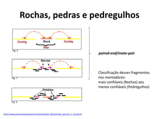 Rochas, pedras e pedregulhos
[http://www.genomenewsnetwork.org/articles/03_00/assemble_genome_3_24.shtml]
paired-end/mate-pair
Classificação desses fragmentos
nos montadores:
mais confiáveis (Rochas) aos
menos confiáveis (Pedregulhos)
 