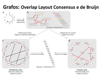 Grafos: Overlap Layout Consensus e de Bruijn
 