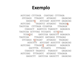 Exemplo
AGTCGAG CTTTAGA CGATGAG CTTTAGA
GTCGAGG TTAGATC ATGAGGC GAGACAG
GAGGCTC ATCCGAT AGGCTTT GAGACAG
AGTCGAG TAGATCC ATGAGGC TAGAGAA
TAGTCGA CTTTAGA CCGATGA TTAGAGA
CGAGGCT AGATCCG TGAGGCT AGAGACA
TAGTCGA GCTTTAG TCCGATG GCTCTAG
TCGACGC GATCCGA GAGGCTT AGAGACA
TAGTCGA TTAGATC GATGAGG TTTAGAG
GTCGAGG TCTAGAT ATGAGGC TAGAGAC
AGGCTTT ATCCGAT AGGCTTT GAGACAG
AGTCGAG TTAGATT ATGAGGC AGAGACA
GGCTTTA TCCGATG TTTAGAG
CGAGGCT TAGATCC TGAGGCT GAGACAG
AGTCGAG TTTAGATC ATGAGGC TTAGAGA
GAGGCTT GATCCGA GAGGCTT GAGACAG
 