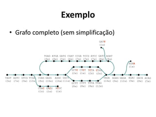 Exemplo
• Grafo completo (sem simplificação)
AGAT
(8x)
ATCC
(7x)
TCCG
(7x)
CCGA
(7x)
CGAT
(6x)
GATG
(5x)
ATGA
(8x)
TGAG
(9x)
GATC
(8x)
GATT
(1x)
TAGT
(3x)
AGTC
(7x)
GTCG
(9x)
TCGA
(10x)
GGCT
(11x)
TAGA
(16x)
AGAG
(9x)
GAGA
(12x)
GACA
(8x)
ACAG
(5x)
GCTT
(8x)
GCTC
(2x)
CTTT
(8x)
CTCT
(1x)
TTTA
(8x)
TCTA
(2x)
TTAG
(12x)
CTAG
(2x)
AGAC
(9x)
AGAA
(1x)
CGAG
(8x)
CGAC
(1x)
GAGG
(16x)
GACG
(1x)
AGGC
(16x)
ACGC
(1x)
 