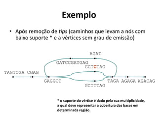 Exemplo
• Após remoção de tips (caminhos que levam a nós com
baixo suporte * e a vértices sem grau de emissão)
TAGTCGA
AGAGATAGA
AGAT
GCTTTAG
GCTCTAG
AGACAG
CGAG
GAGGCT
GATCCGATGAG
* o suporte do vértice é dado pela sua multiplicidade,
a qual deve representar a cobertura das bases em
determinada região.
 