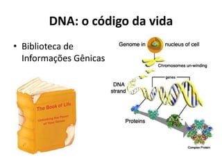 DNA: o código da vida
• Biblioteca de
Informações Gênicas
 