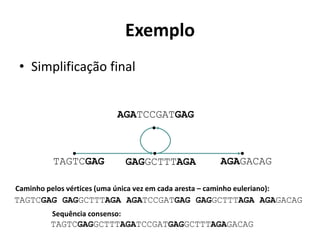 Exemplo
• Simplificação final
TAGTCGAG AGAGACAG
AGATCCGATGAG
GAGGCTTTAGA
TAGTCGAG GAGGCTTTAGA AGATCCGATGAG GAGGCTTTAGA AGAGACAG
TAGTCGAGGCTTTAGATCCGATGAGGCTTTAGAGACAG
Sequência consenso:
Caminho pelos vértices (uma única vez em cada aresta – caminho euleriano):
 