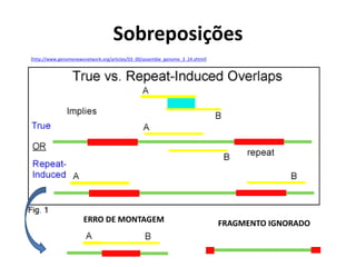 Sobreposições
[http://www.genomenewsnetwork.org/articles/03_00/assemble_genome_3_24.shtml]
ERRO DE MONTAGEM FRAGMENTO IGNORADO
 